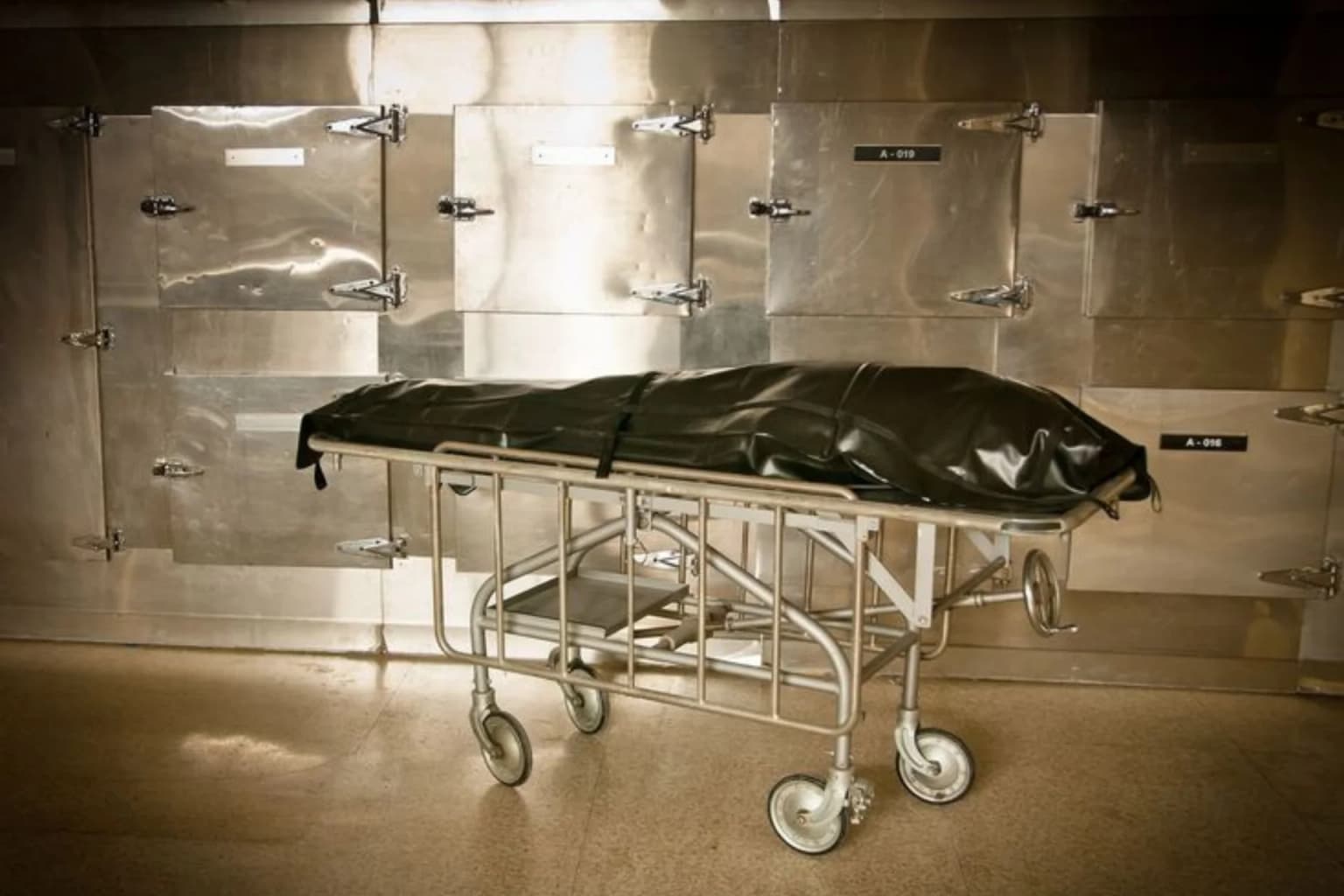 Certificate in Mortuary Science